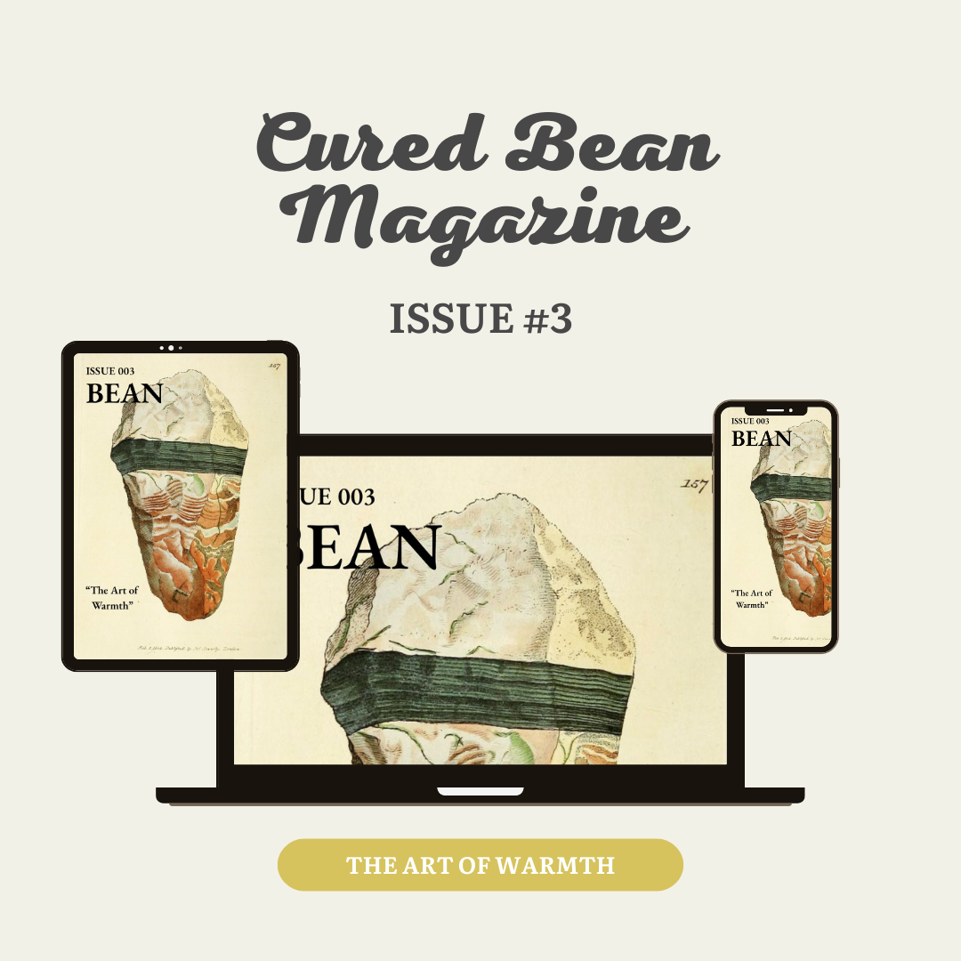 Issue #3: The Art of Warmth – CBM Digital