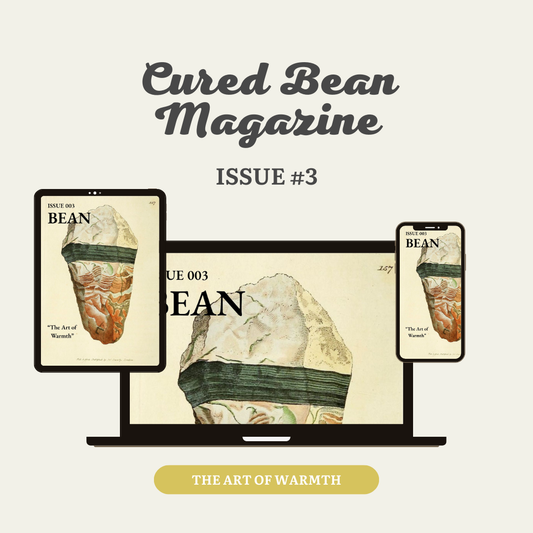 Issue #3: The Art of Warmth – CBM Digital