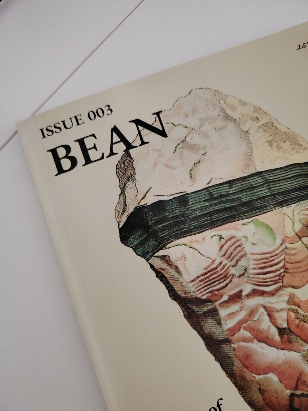 Issue #3: The Art of Warmth – CBM Impreso