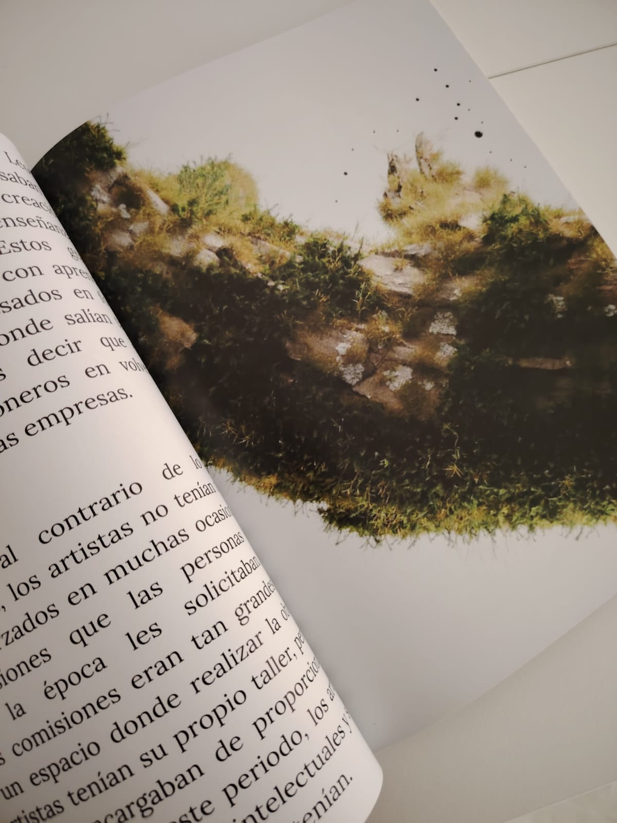 Issue #3: The Art of Warmth – CBM Física